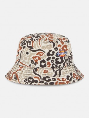 Chapéu De Balde Dickies Saltville Feminino Multicoloridas | 587133719