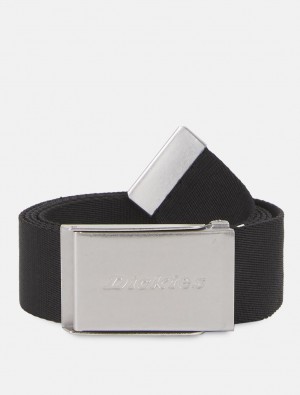 Cintos Dickies Brookston Masculino Pretas | 778910859