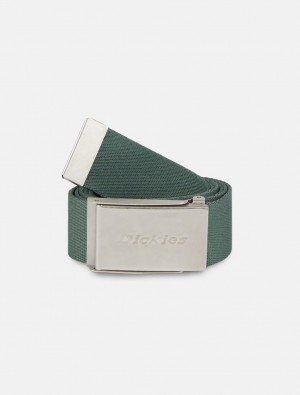 Cintos Dickies Brookston Masculino Verdes | 589914231