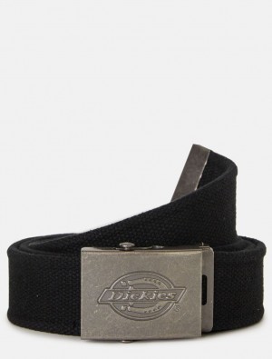 Cintos Dickies Canvas Feminino Pretas | 887738153