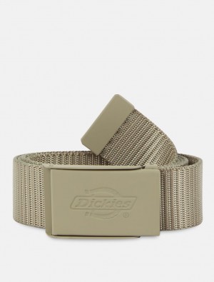 Cintos Dickies Deer Lodge Masculino Verde Oliva | 264548154
