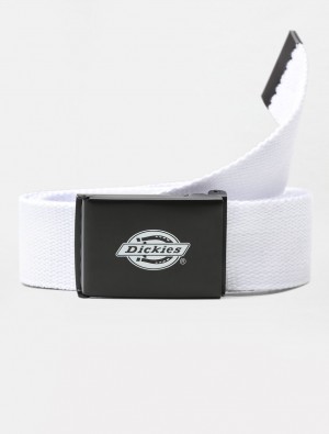Cintos Dickies Orcutt Feminino Branco | 776589268