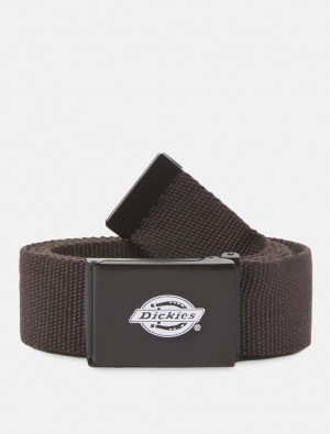 Cintos Dickies Orcutt Feminino Chocolate | 116361353