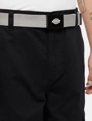 Cintos Dickies Orcutt Feminino Cinzentas | 338876723