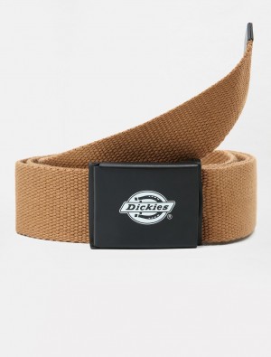 Cintos Dickies Orcutt Feminino Marrom | 612142782