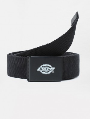 Cintos Dickies Orcutt Feminino Pretas | 880504820