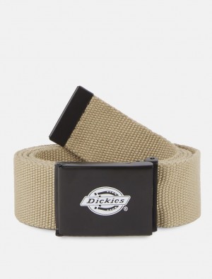 Cintos Dickies Orcutt Masculino Caqui | 338888650