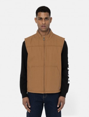 Colete Dickies Duck Lined Masculino Marrom | 667535655