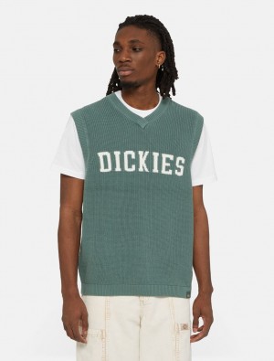Colete Dickies Melvern Knitted Masculino Verdes | 733833581