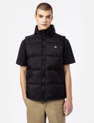 Colete Dickies Waldenburg Masculino Pretas | 811628061