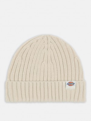 Gorro Dickies Lockwood Masculino Cinzentas | 109855204