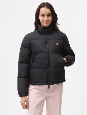 Jaquetas Dickies Alatna Feminino Pretas | 646780638