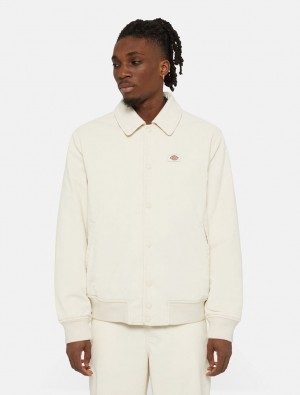 Jaquetas Dickies Chase City Masculino Branco | 638560849