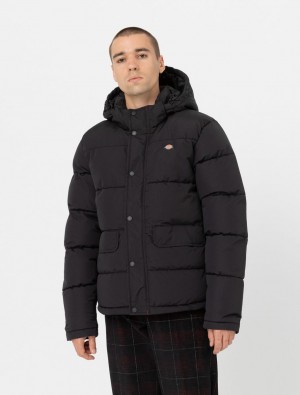 Jaquetas Dickies Glacier View Puffer Masculino Pretas | 99903192