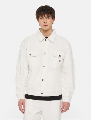 Jaquetas Dickies Madison Masculino Branco | 156896885