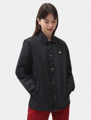 Jaquetas Dickies Oakport Coach Feminino Pretas | 170049805