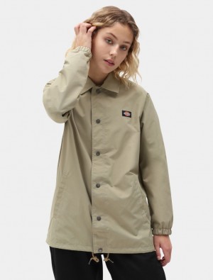 Jaquetas Dickies Oakport Coach Feminino Caqui | 112381158
