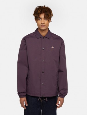 Jaquetas Dickies Oakport Coach Masculino Roxo | 326118400