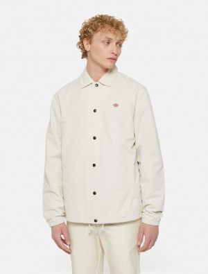Jaquetas Dickies Oakport Coach Masculino Branco | 567369538