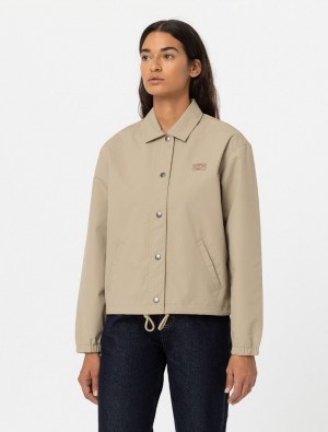 Jaquetas Dickies Oakport Cropped Coach Feminino Caqui | 634772550