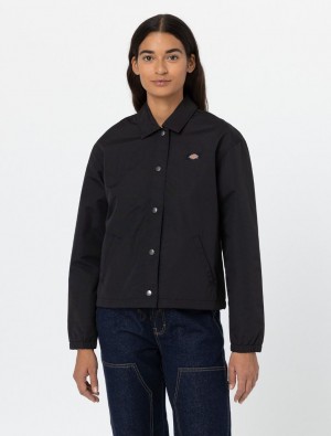 Jaquetas Dickies Oakport Cropped Coach Feminino Pretas | 583346944