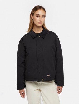 Jaquetas Dickies Plains Feminino Pretas | 651579065