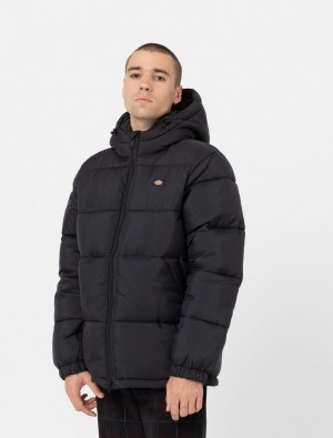 Jaquetas Dickies Waldenburg Hooded Masculino Pretas | 814269438
