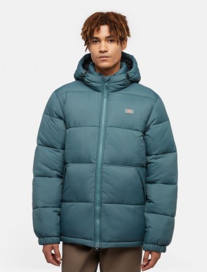 Jaquetas Dickies Waldenburg Hooded Masculino Verdes | 940889408