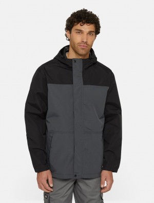 Jaquetas Dickies Waterproof Rain Masculino Cinzentas | 357951721