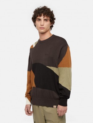 Jumpers Dickies Camo Masculino Verde Oliva | 820867880
