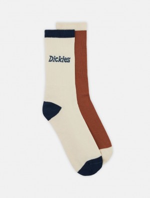 Meias Dickies Ness City Feminino Branco | 145487412
