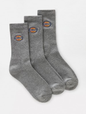 Meias Dickies Valley Grove Feminino Cinzentas | 108463723