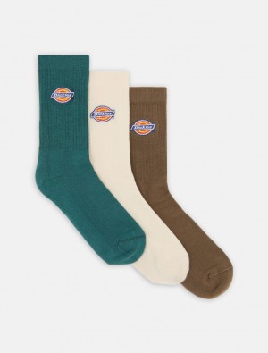 Meias Dickies Valley Grove Feminino Marrom | 277404440
