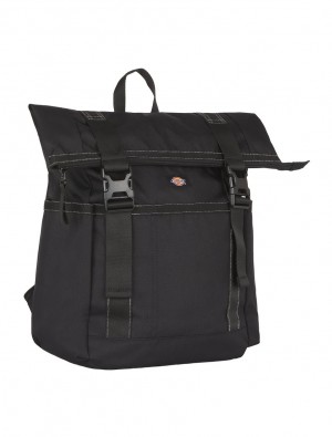 Mochilas Dickies Ashville Roll Top Masculino Pretas | 148859906
