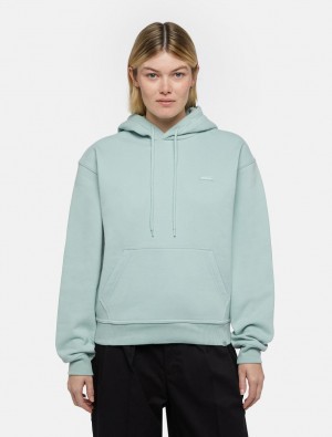 Moletom com Capuz Dickies Clancy Feminino Azuis | 399456996