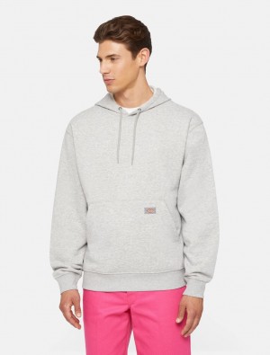 Moletom com Capuz Dickies Everyday Fleece Masculino Cinzentas | 842582203