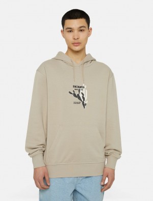 Moletom com Capuz Dickies Herndon Masculino Caqui | 700956912