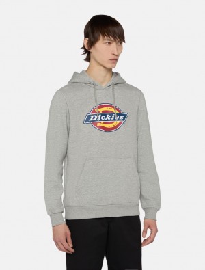 Moletom com Capuz Dickies Icon Logo Masculino Cinzentas | 468706474