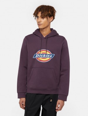 Moletom com Capuz Dickies Icon Logo Masculino Roxo | 246970916