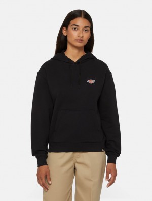 Moletom com Capuz Dickies Millersburg Feminino Pretas | 64842613