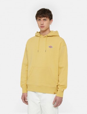 Moletom com Capuz Dickies Millersburg Masculino Amarelas | 491800902