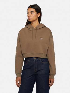 Moletom com Capuz Dickies Oakport Cropped Feminino Marrom | 313521257
