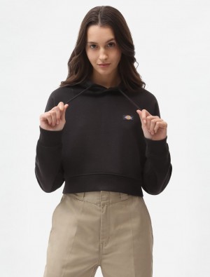 Moletom com Capuz Dickies Oakport Cropped Feminino Pretas | 403003684