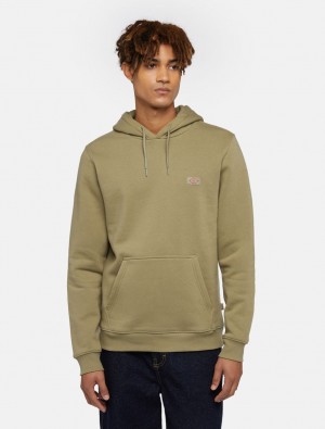 Moletom com Capuz Dickies Oakport Masculino Verde Oliva | 110326323