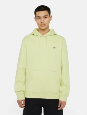 Moletom com Capuz Dickies Oakport Masculino Verdes | 750384512