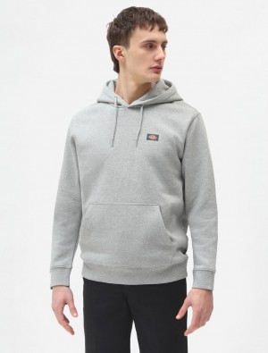 Moletom com Capuz Dickies Oakport Masculino Cinzentas | 33583414