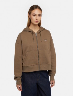 Moletom com Capuz Dickies Oakport Zip Feminino Marrom | 914180641