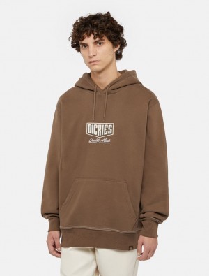 Moletom com Capuz Dickies Philipsburg Masculino Marrom | 87906351