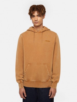 Moletom com Capuz Dickies Plentywood Masculino Marrom | 127154991