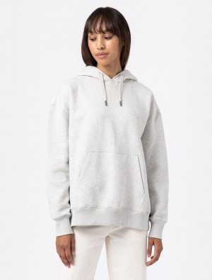 Moletom com Capuz Dickies Summerdale Feminino Cinzentas | 828639711